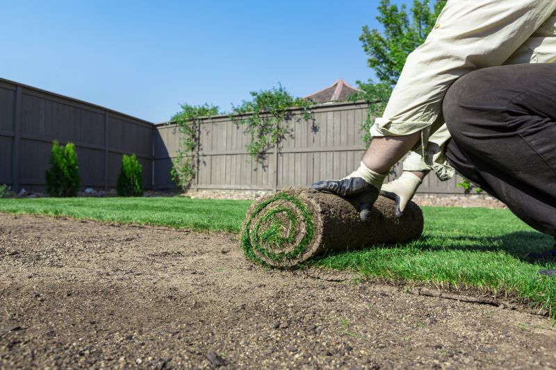 Professional Sod Laying