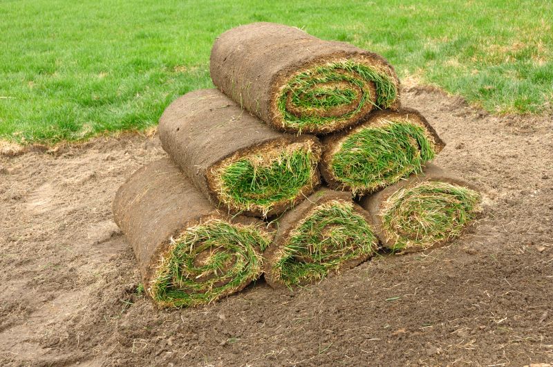Sod Installation