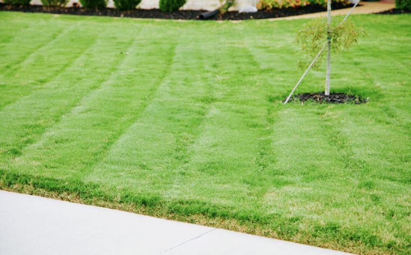 Healthy Completed Lawn