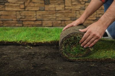 Spring Sod Installation