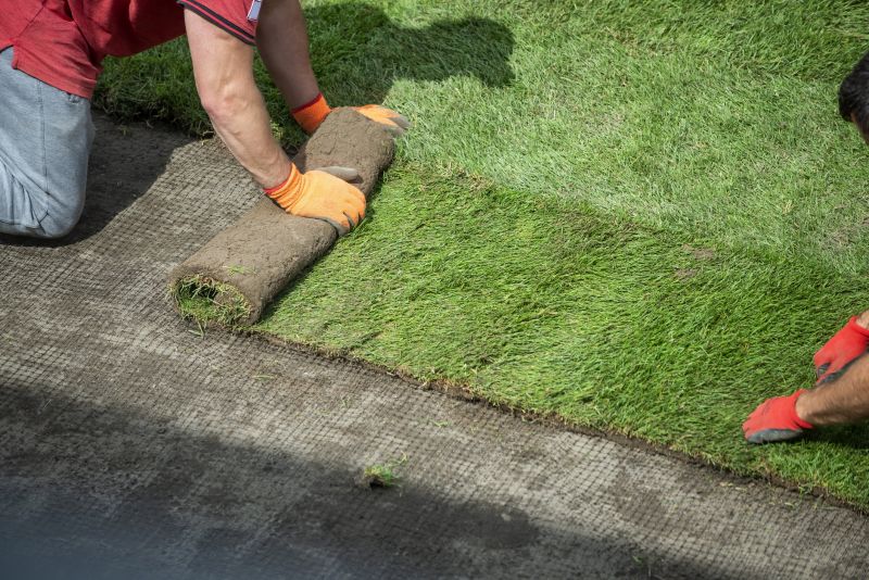 Lawn Maintenance Tips