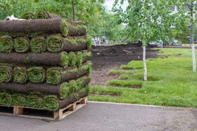 Boosts Curb Appeal