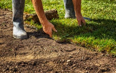 Erosion Control
